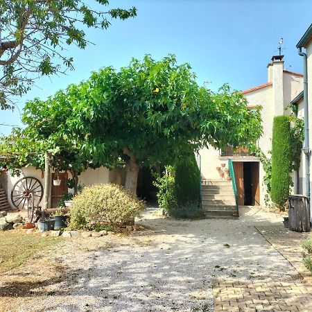 L'Habitacio De Can Rufa Maureillas Εξωτερικό φωτογραφία